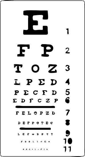Examen profesional de la vista